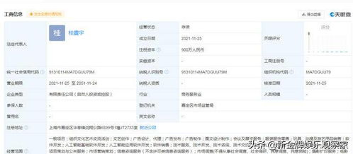 从工厂流水线到AI赛道 杨超越的跨界逆袭与科技梦想